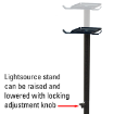 Lightsource stand can be raised and lowered with locking adjustment knob